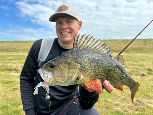 Westin - PROMO Creature Bait Crecraw Junebug - Westin