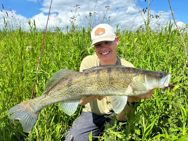 Westin - PROMO Creature Bait Crecraw Junebug - Westin