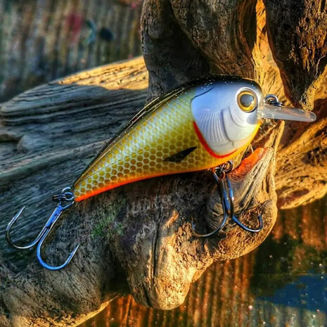 Westin - Crankbait Bassbite Squarebill Floating 6.0cm / 13.0gr - Westin