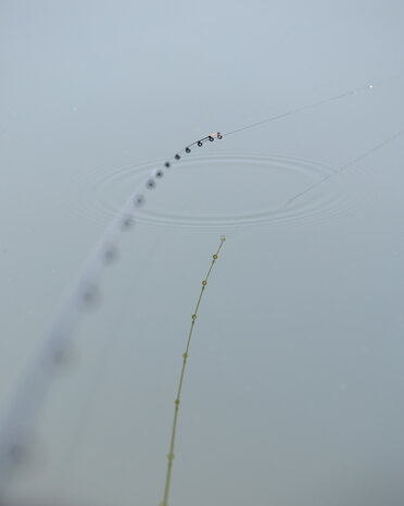 Black Arrow X8 Feeder Braid / 150m - Sensas