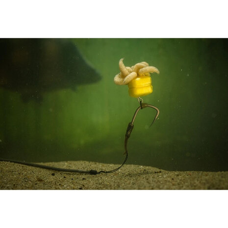 Corn Maggot Clip - Pole Position