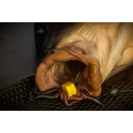 Corn Maggot Clip - Pole Position