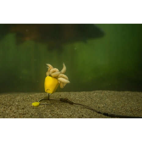 Corn Maggot Clip - Pole Position