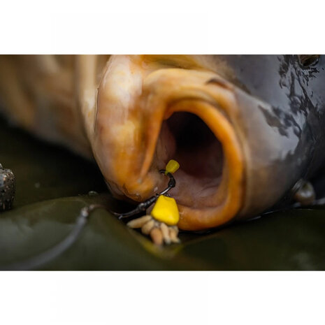 Tungsta Corn Shot - Pole Position