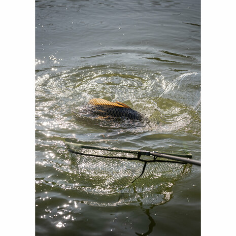 Full Metal Speci Square Latex Landing Net - Korum