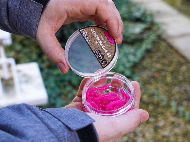 Dendrobaena / 6,0cm - SPRO