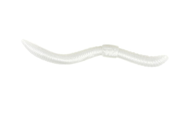 Trout Master - Dendrobaena Garlic / 6,0cm - SPRO