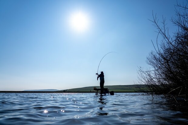 Aventus R Distance Feeder - Guru