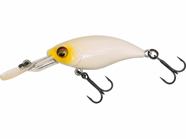 Gift Box Dietmar Isaiasch Favorites - Westin