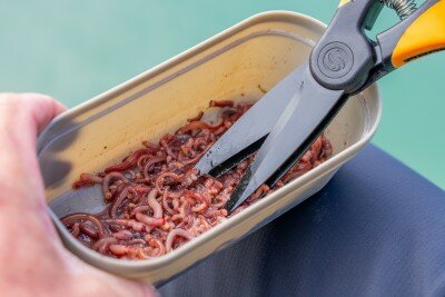 Guru - Worm Scissors - Guru