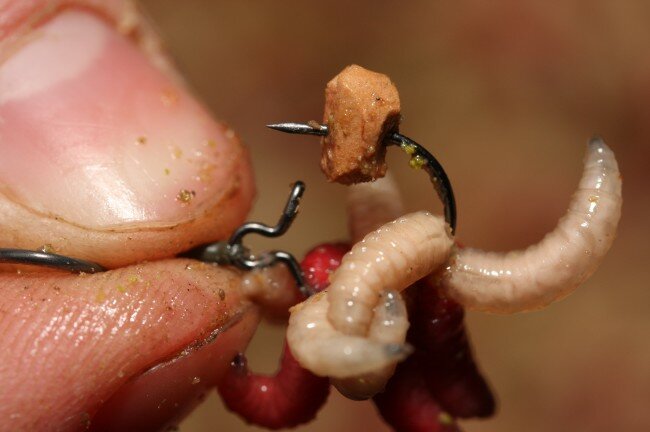 Korda - Maggot Clip- Korda
