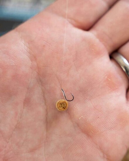 Matrix - Haken X5 F1 Pellet Rigger Barbless / Eyed - Matrix