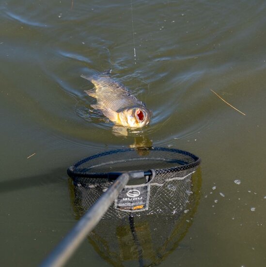 Guru - 7000XS Pole Combo / 7.00m - Guru