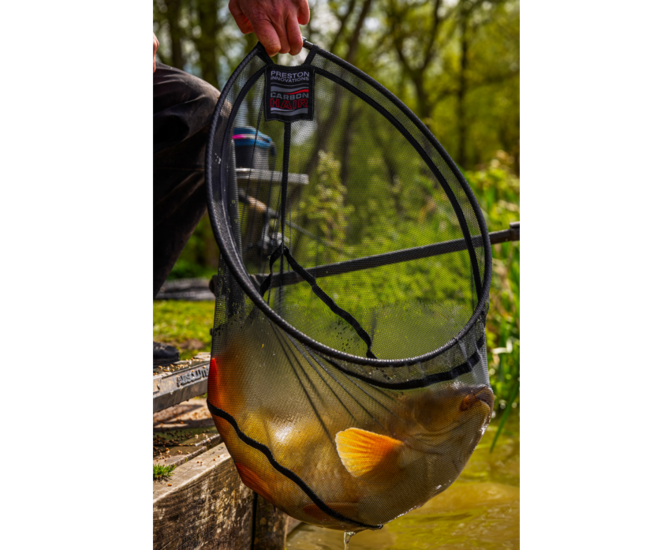 Preston - Schepnet Carbon Hair Mesh Landing Net 18" - Preston
