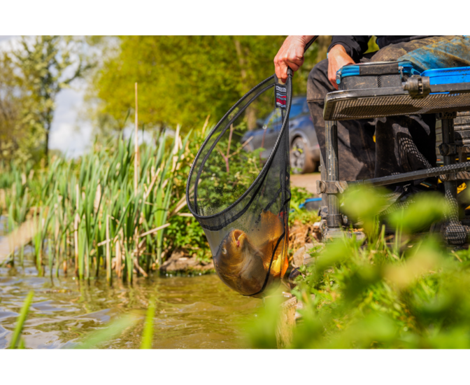 Preston - Schepnet Carbon Hair Mesh Landing Net 18" - Preston