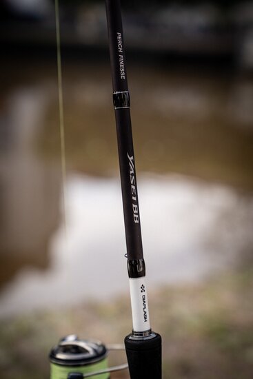 Shimano - Spinhengel Yasei BB AX Pike - Shimano