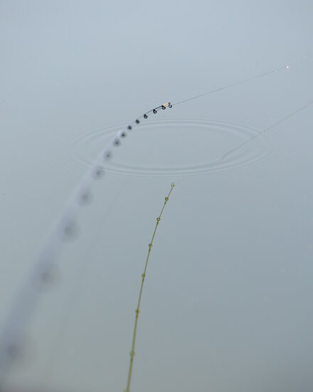 Black Arrow X8 Feeder Braid / 150m - Sensas