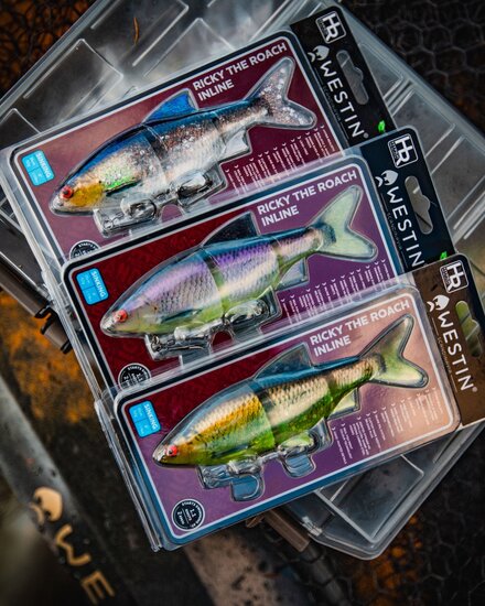 Ricky The Roach Limited Edition Inline Sinking 15cm / 52gr - Westin
