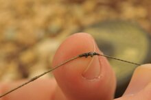 Korda - Kamo coated Hooklink / 20.0m - Korda