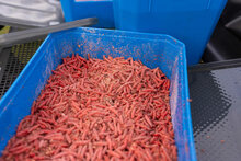 Preston - Bait Tubs - Preston