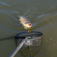 Guru - 7000XS Pole Combo / 7.00m - Guru