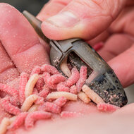 Preston - Feederkorven ICS In-Line maggot Feeder - Preston
