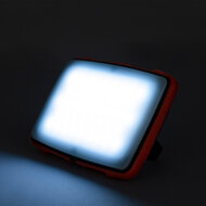 Fox Carp - Halo Photography Light - Fox Carp