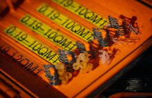 Guru - Haken QM1 Hook Barbless - Guru