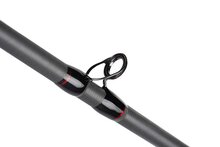 Warrior Pike Cast 230cm / 20-80gr - Fox Rage