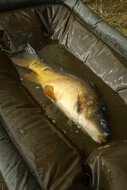 Carpmaster Welded Cradle - Fox Carp