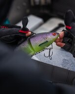 Ricky The Roach Limited Edition Inline Sinking 15cm / 52gr - Westin