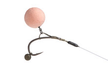 Fox Carp - Edges Shot On The Hook - Fox Carp
