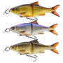 3D Glide Roach Line-Tru 17.0cm / 78.0gr - Savage Gear