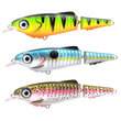 SPRO - Poisson nageurs Ripple Profighter - SPRO