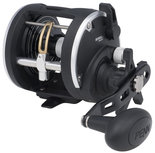 Penn - Reel Rival Level Wind 30 LW LH - Penn Penn - Reel Rival Level Wind 30 LW LH - Penn
