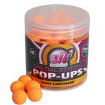 Mainline - Pop-ups Scopex Blackcurrant Special Eition - Mainline Mainline - Pop-ups Scopex Blackcurrant Special Eition - Mainline